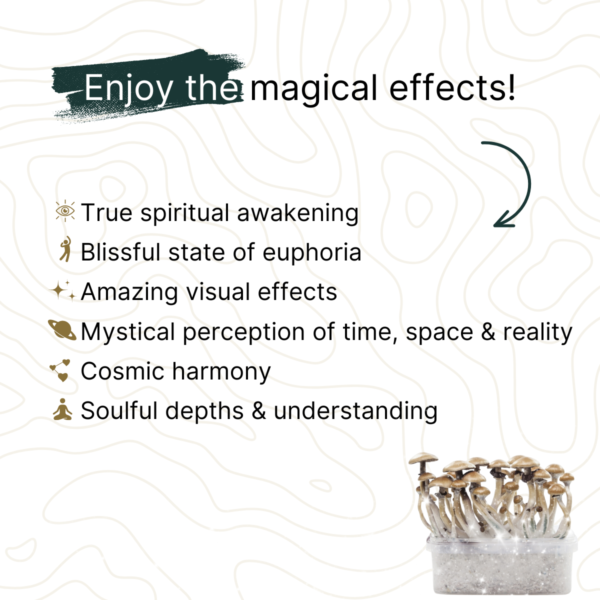 Golden Teacher Grow Kit - Effects