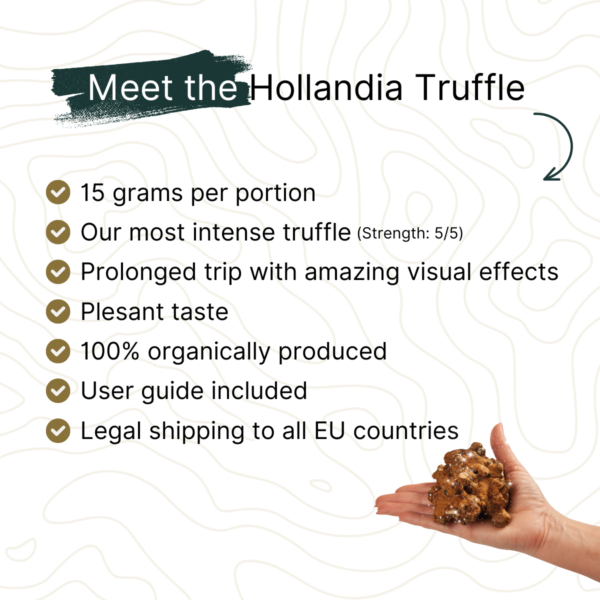 Meet the Hollandia Truffle - Awake