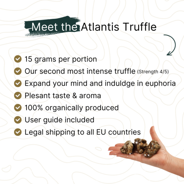 Meet the Atlantis Truffle