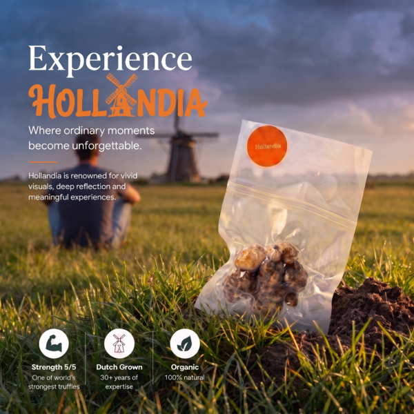 Hollandia Truffles 15g
