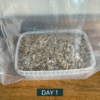 Awake Cultivation Kit™